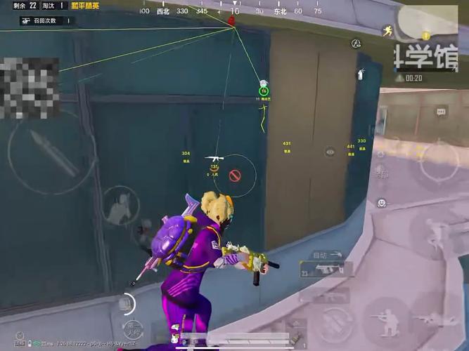 和平精英辅助【COCO】